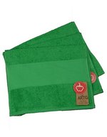 ARTG PRINT-Me® Gästehandtuch 30x50 cm Baumwolle, Light Blue 30 x 50 cm, AR074 – Irish Vert