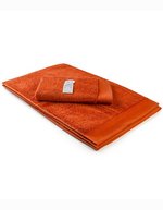 ARTG Gästetuch Excellent Deluxe 40x60 cm, Light Grey 40 x 60 cm, AR605 – Brick Rouge