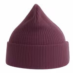 Atlantis Nelson Beanie in Cotone Biologico, Black One Size, AT116 – immagine 4