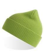 Atlantis Nelson Beanie aus Bio-Baumwolle – Leaf Green