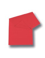 Atlantis Freedom Basic Bandana aus 100% Polyester – Red