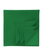 Bandana Goal-S – Green