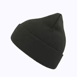 Eko Beanie – Forest Green