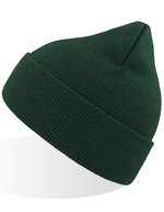 Eko Beanie – Pine Green