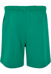 Kids Basic Sweatshorts – image 3