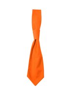 CG Workwear Krawatte Messina, 65% Polyester, 35% Baumwolle, Black One Size, CGW1360 – Pumpkin