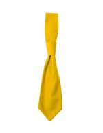 CG Workwear Krawatte Messina, 65% Polyester, 35% Baumwolle, Black One Size, CGW1360 – Sunshine