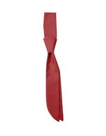 CG Workwear Elegante Short Tie Siena, pflegeleicht, Black One Size, CGW150 – Regency Red
