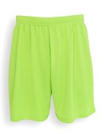 Evolution Shorts – Lime