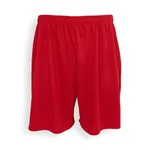 Kids Evolution Shorts – immagine 2