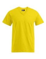 Promodoro Premium V-Neck T-Shirt aus Baumwolle, Steel Grey (Solid) XL, E3025 – Gold