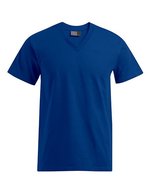 Promodoro Premium V-Neck T-Shirt aus Baumwolle, Steel Grey (Solid) XL, E3025 – Royal