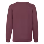 Fruit of the Loom Raglan Felpa 80% Cotone per Bambini, Black 104, F304NK – immagine 4