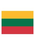 Printwear Litauen Fahne 90 x 150 cm, Lithuania 90 x 150 cm, FLAGLT – Bild 1