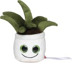 Schmoozies® Evergreenies® Aloe Vera – Bild 1