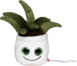 Schmoozies® Evergreenies® Aloe Vera – Bild 3