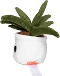 Schmoozies® Evergreenies® Aloe Vera – Bild 5