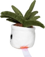 Schmoozies® Evergreenies® Aloe Vera – Bild 5