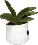 Schmoozies® Evergreenies® Aloe Vera – Bild 6