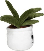 Schmoozies® Evergreenies® Aloe Vera – Bild 6