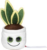 Schmoozies® Evergreenies® Bogenhanf – Bild 1