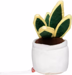 Schmoozies® Evergreenies® Bogenhanf – Bild 4