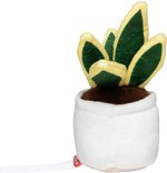 Schmoozies® Evergreenies® Bogenhanf – Bild 4
