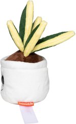 Schmoozies® Evergreenies® Bogenhanf – Bild 5