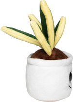 Schmoozies® Evergreenies® Bogenhanf – Bild 6
