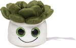 Schmoozies® Evergreenies® Sukkulente – Bild 1