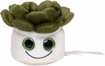 Schmoozies® Evergreenies® Sukkulente – image 3