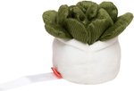 Schmoozies® Evergreenies® Sukkulente – Bild 4