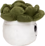 Schmoozies® Evergreenies® Sukkulente – image 6