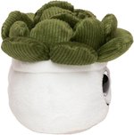Schmoozies® Evergreenies® Sukkulente – Bild 6