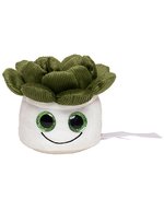 Schmoozies® Evergreenies® Sukkulente – Bild 2