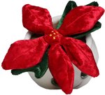 Schmoozies® Evergreenies® Weihnachtsstern – Bild 7