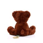 Mbw MiniFeet® RecycelBär aus 100% PET, Brown S, MBW160950 – Bild 3