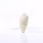 Mbw MiniFeet® Hundespielzeug Knochen mit Quietschfunktion, Creme One Size, MBW170008 – Bild 4