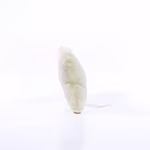 Mbw MiniFeet® Hundespielzeug Knochen mit Quietschfunktion, Creme One Size, MBW170008 – Bild 5