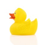 Mbw Schnabels® canard de course avec plaque métallique, Yellow 75 mm, MBW31176 – Bild 5