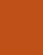 Madeira Polyneon 40 Garn – 1621 Burnt Orange