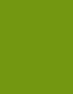 Madeira Polyneon 40 Garn 1.000 m, 1738 Beige 1.000 m, MD400 – 1649 Vert