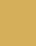 Madeira Polyneon 40 Garn 1.000 m, 1738 Beige 1.000 m, MD400 – 1670 Miel