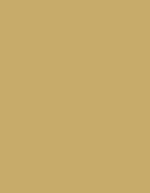 Madeira Polyneon 40 Garn 1.000 m, 1738 Beige 1.000 m, MD400 – 1684 Beige