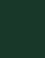 Madeira Polyneon 40 Garn 1.000 m, 1738 Beige 1.000 m, MD400 – 1902 Vert fonce