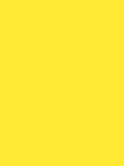 Madeira Polyneon 40 Stickgarn 5.000 m – 1623 Yellow