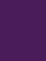Madeira Polyneon 40 Stickgarn 5.000 m – 1633 Viola