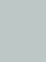 Madeira Polyneon 40 Stickgarn 5.000 m – 1687 Grigio