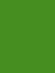 Madeira Polyneon 40 Stickgarn 5.000 m – 1701 Green