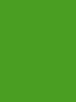 Madeira Polyneon 40 Stickgarn 5.000 m – 1701 Verde